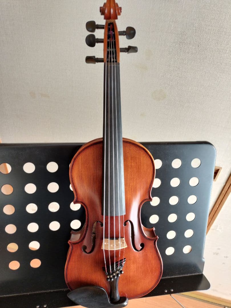 Pretorio 5弦エレクトリックアコースティックバイオリン
