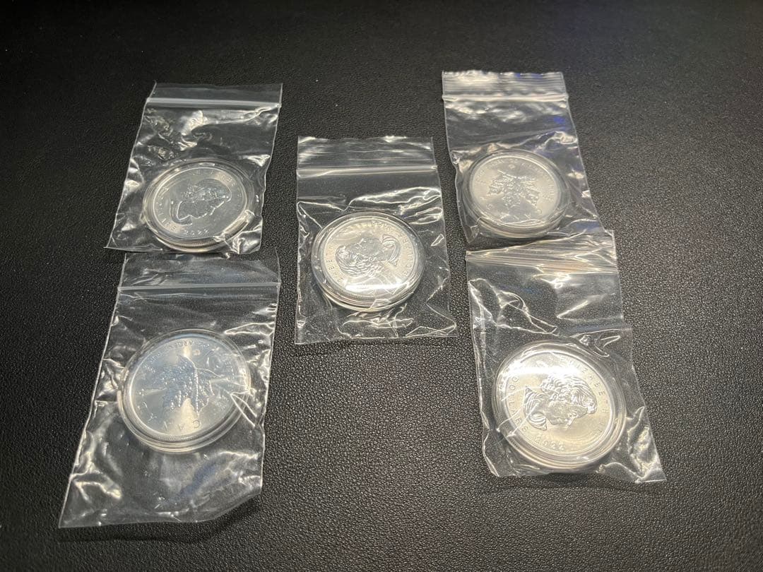2022年　メイプルリーフ銀貨１オンス　5枚セット