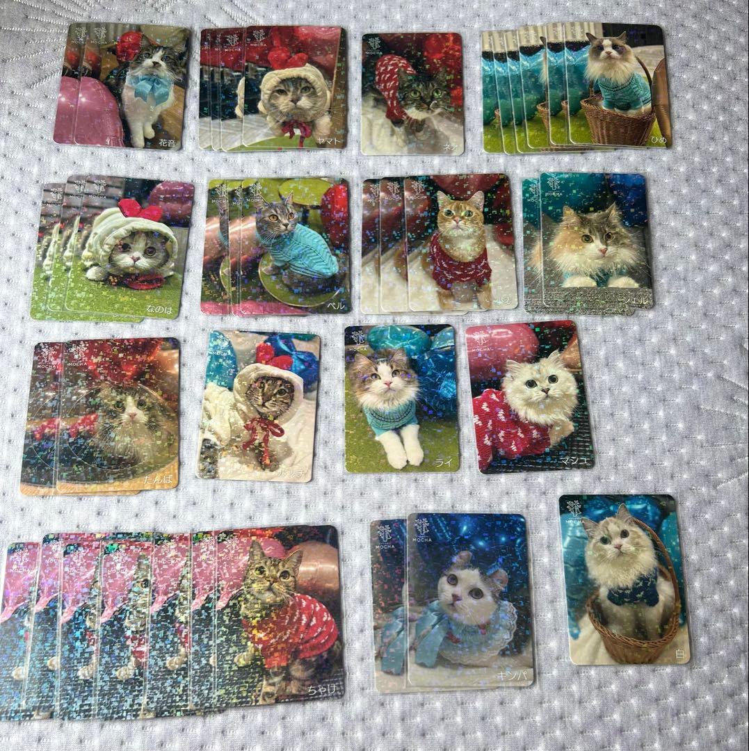 猫カフェmocha にゃんずトレカ どきどきバレンタイン 大宮アルシェ店