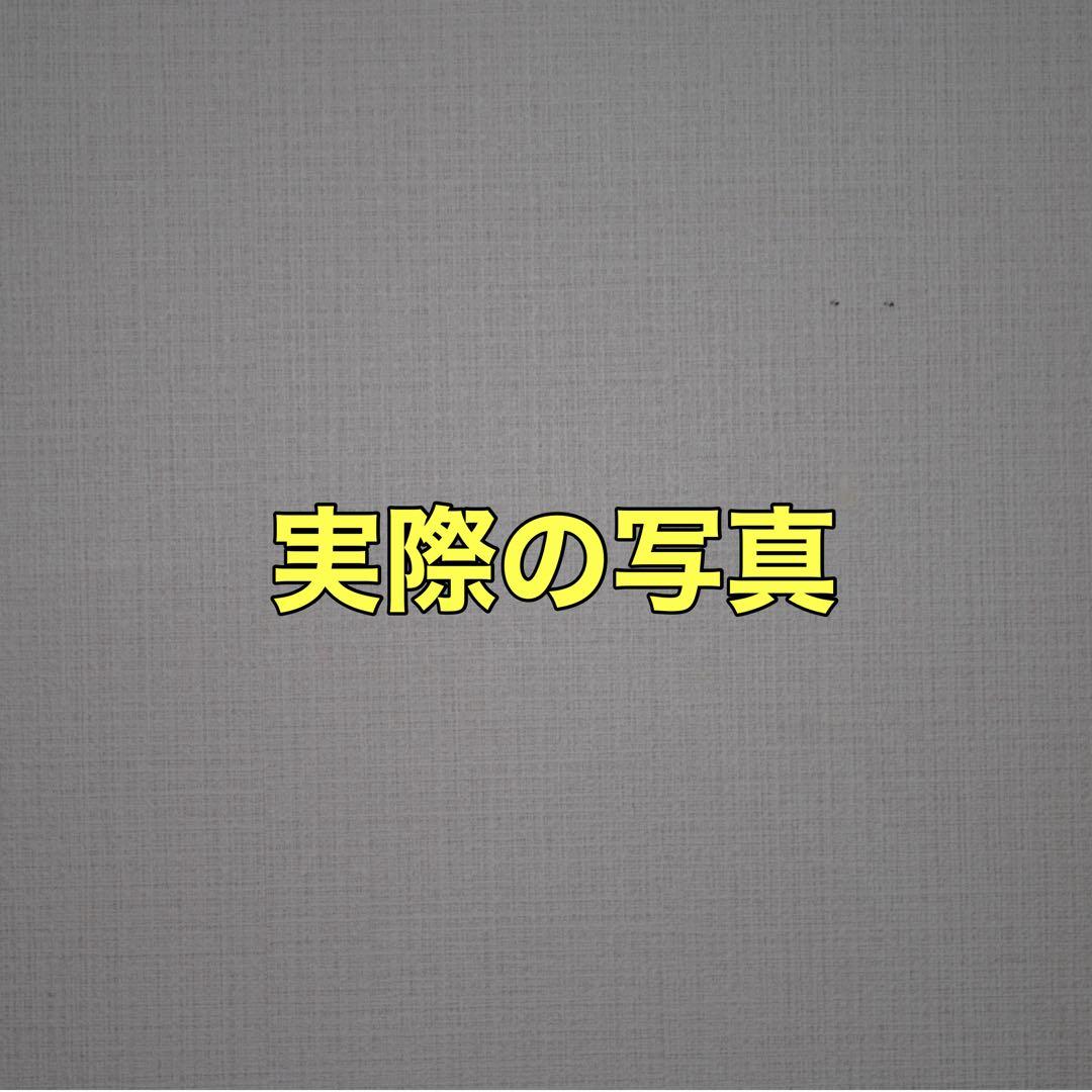 ❤️美品❤️Nikon D3000 レンズキット 初心者おすすめセット✨即撮影可能✨