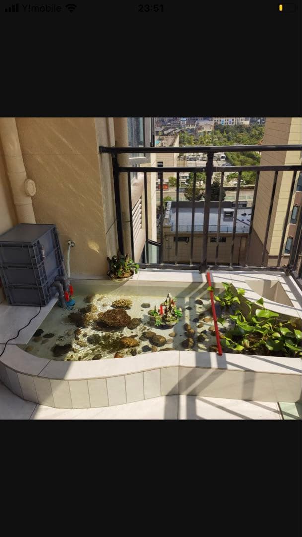 ポンプ付き池フィルター万能濾過装置 池フィルター最高濾過装置大)当日発送送料込み