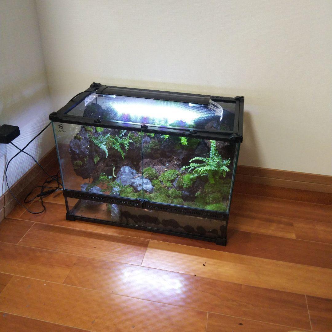 受注生産　イモリウム