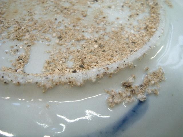 皿■南京呉須 平鉢 染付け花鳥紋 鱗紋 窓花絵 砂高台 青華古玩唐物時代物骨董■