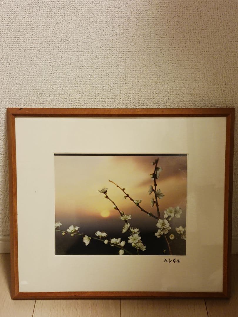 入江泰吉　うめ　写真家　入江泰吉記念奈良市写真美術館　和
