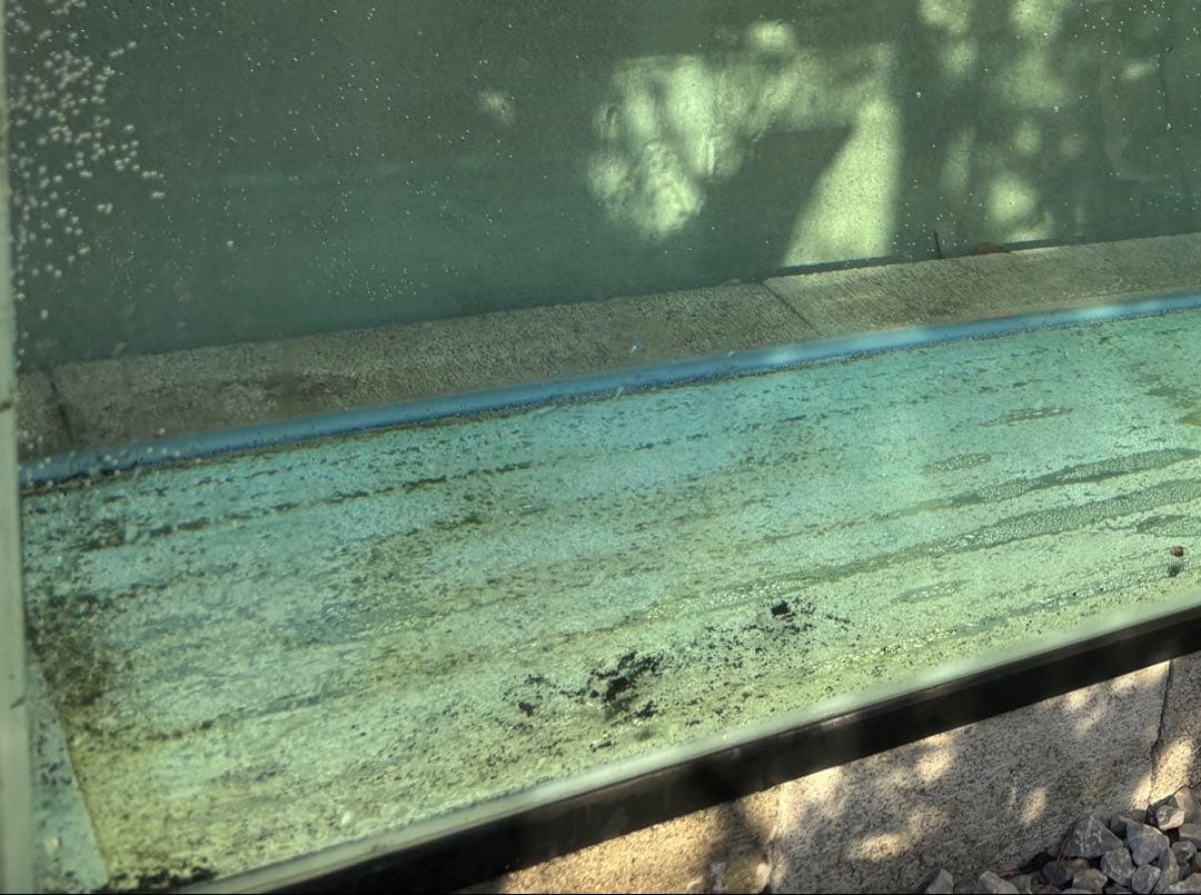 コトブキ　120センチ水槽　引取り限定　おまけ付き