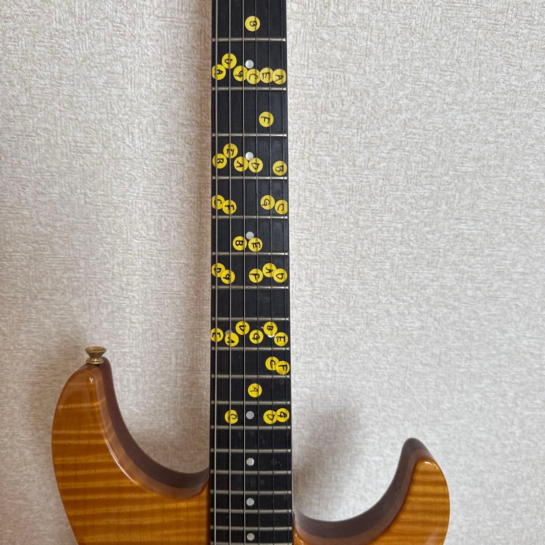 FERNANDES フェルナンデス エレキギター