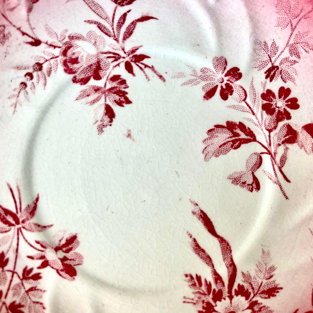 サルグミンヌ　ペルセPERSE C&S フランスアンティーク　カップ&ソーサー