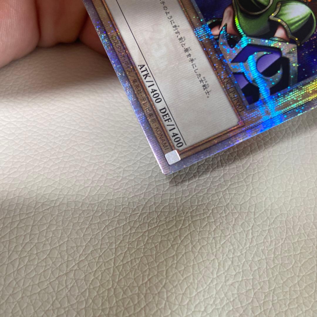 テイコウペンギン　女剣士カナン　25th クオシク