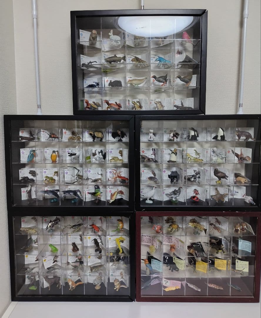 カプセルQ　日本の動物84体セット　ノーマルコンプ