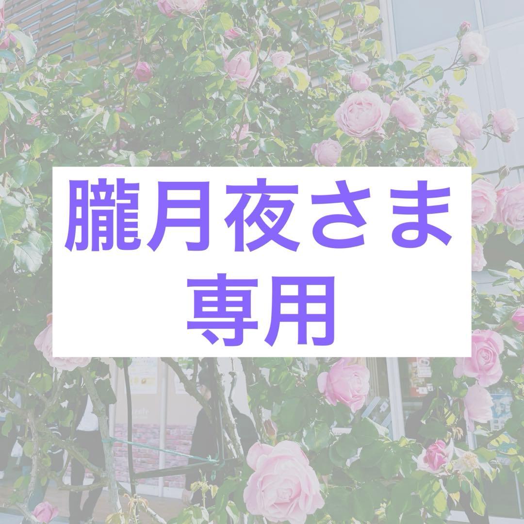 朧月夜さま専用　チーキー