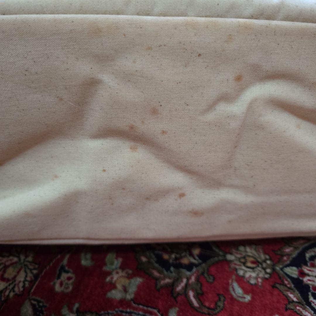 LA発ファー付きペットキャリーバッグ ファーは取り外し可能