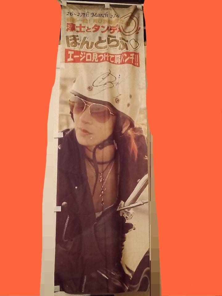 淳士旅行 2016年のぼり