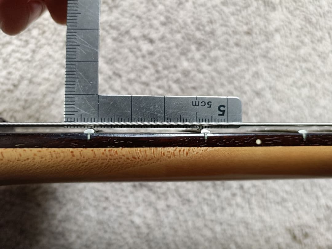 【日本製フジゲン】Ibanez RG685 Burnt Trans Purple