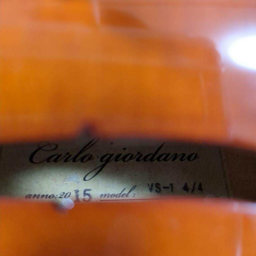 Carlo giordano VS-1 4/4 カルロジョルダーノ 2015年