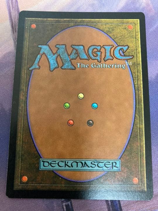 MTG 富士山　山APEC