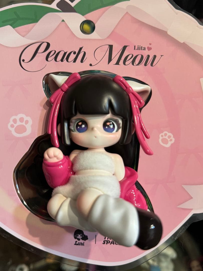 TNTSPACE Liita リイタ　透明パッケージ　吊卡 レア