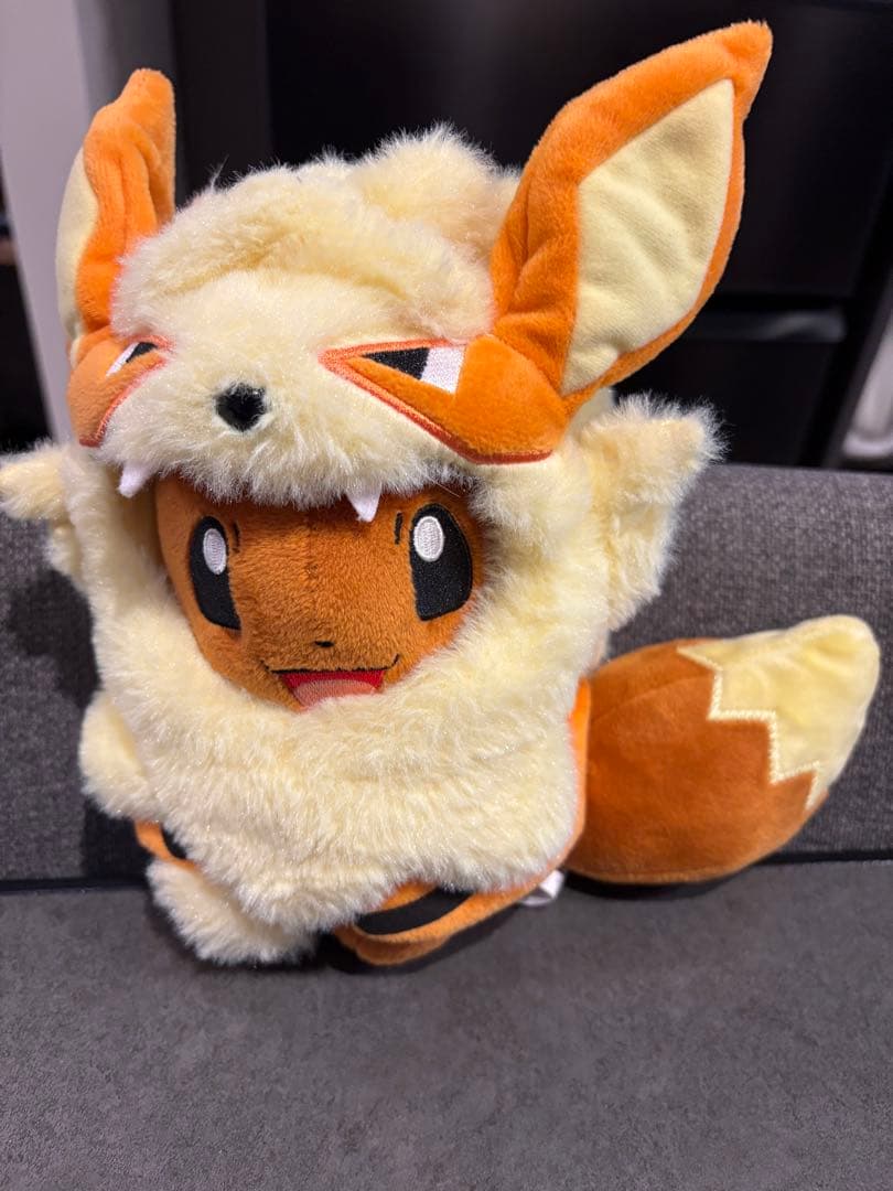 【ポケセン沖縄限定】ウィンディポンチョのイーブイ ぬいぐるみ
