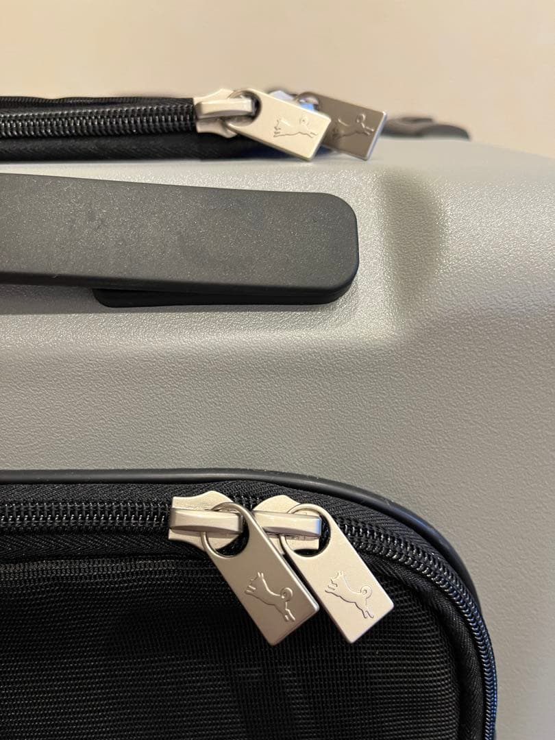 【一度のみ使用】PETiCO ぺットキャリー Lサイズ　サンドグレー