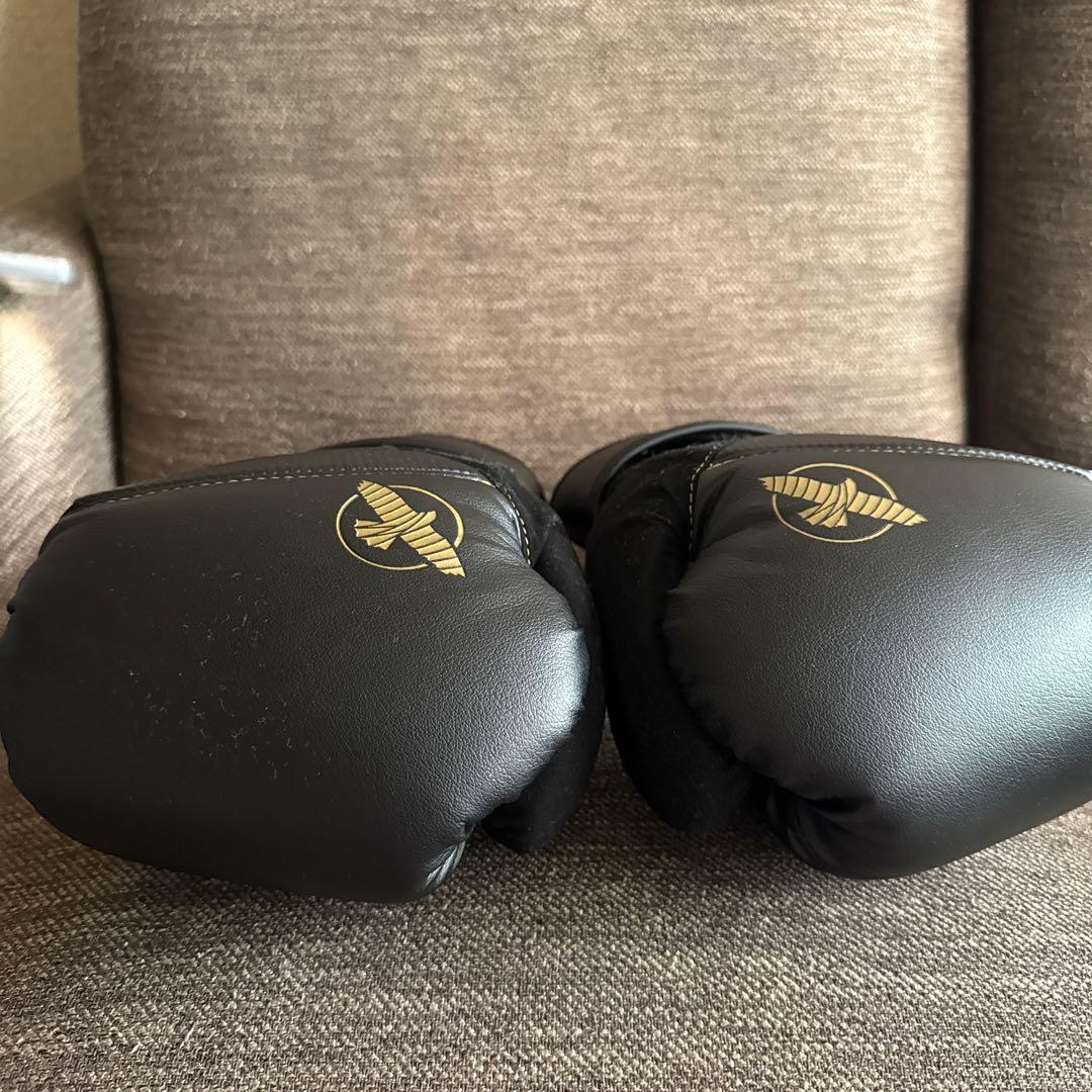 HAYABUSA ボクシンググローブ 10oz TOKUSHU