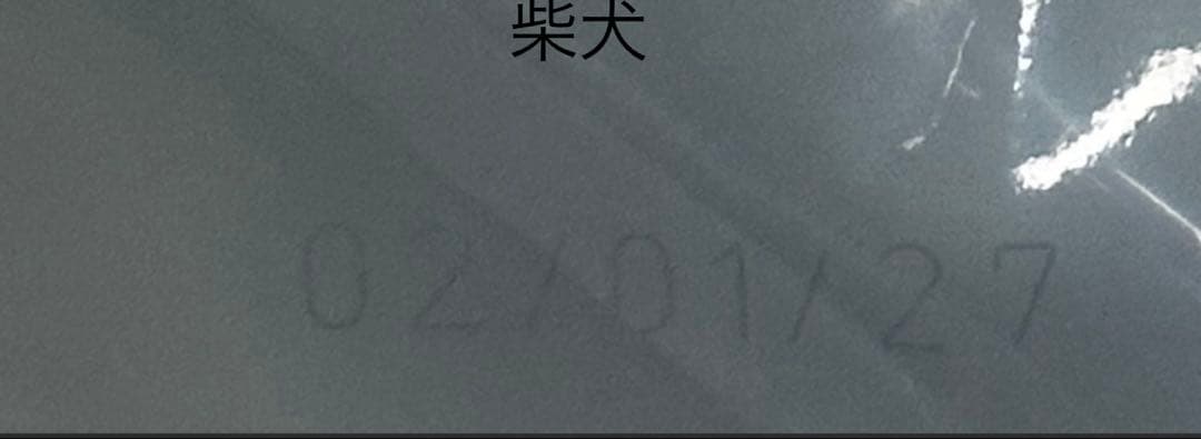  CANIN 柴犬　8kg 1袋　ロイヤルカナン