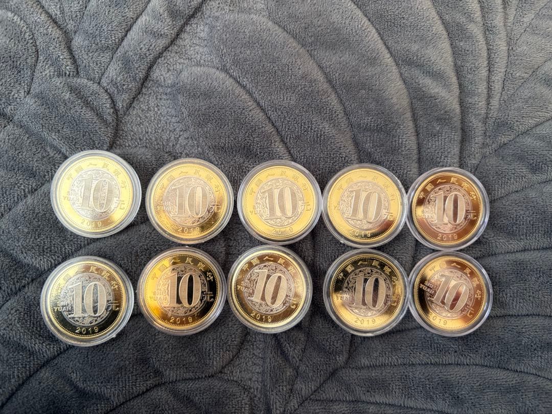 中国記念硬貨 2019年十二支　イノシシ　記念10元　未使用　10枚セット