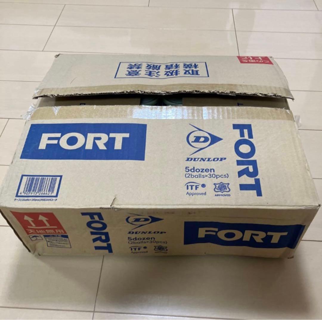 【新品】DUNLOP(ダンロップ) 硬式テニス ボール FORT 60球