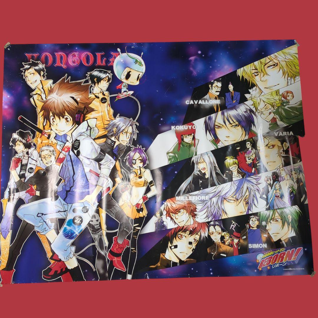 超特大 家庭教師ヒットマンREBORN! 公式商品 1m54cm×1m22cm