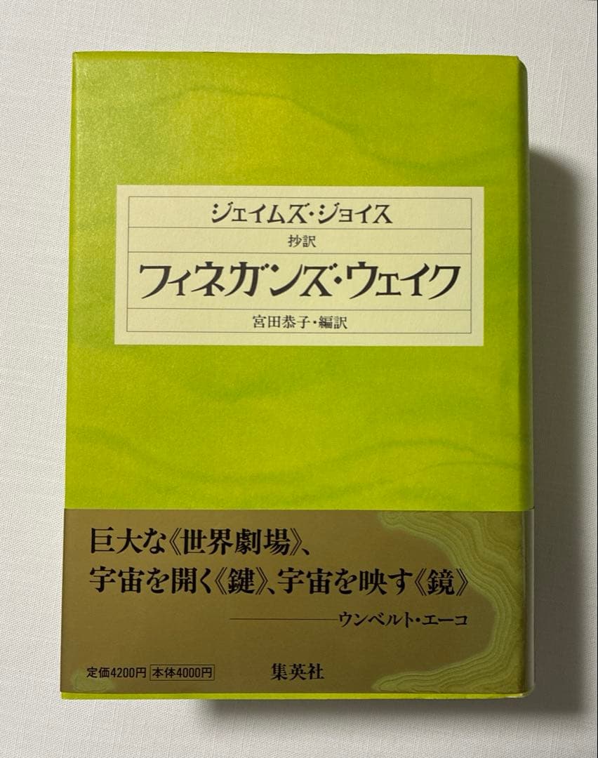 抄訳　フィネガンズ・ウェイク　宮田恭子編訳