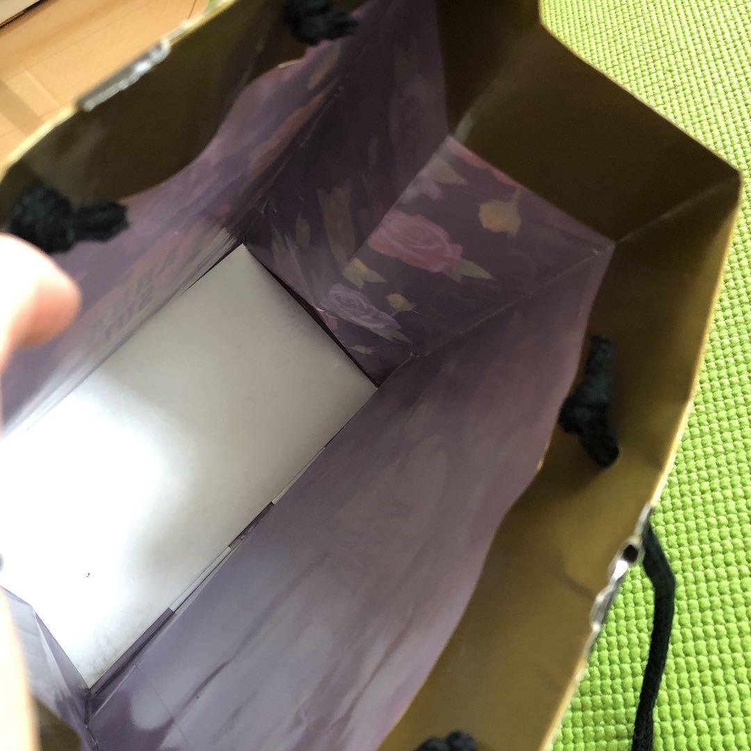 ANNA SUI アナスイ　紙袋　ショップ袋