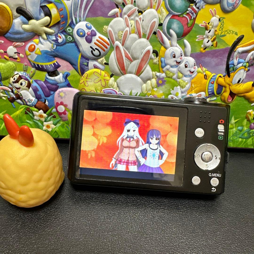 Panasonic LUMIX DMC-FH5 動作確認済　中古良品