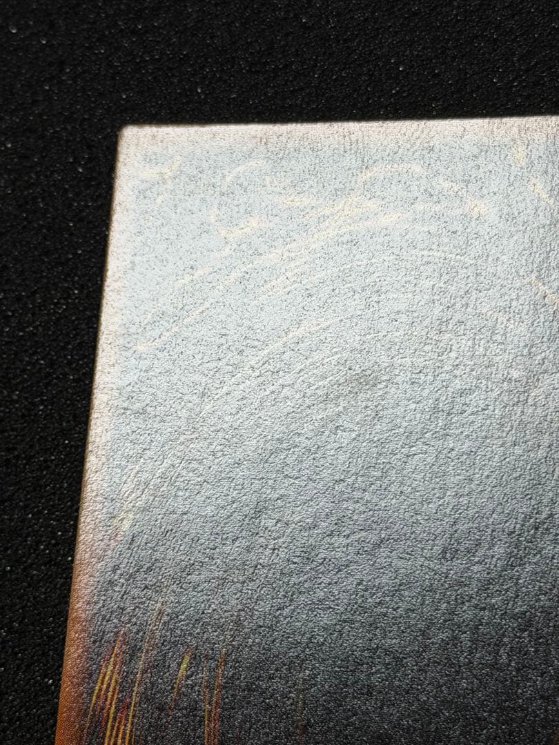 ハーピィの羽根帚 ウルトラレア