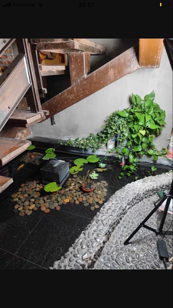 三段式万能濾過装置、濾過層濾過飼育濾過装置、外部フィルター(大)当日発送送料込み