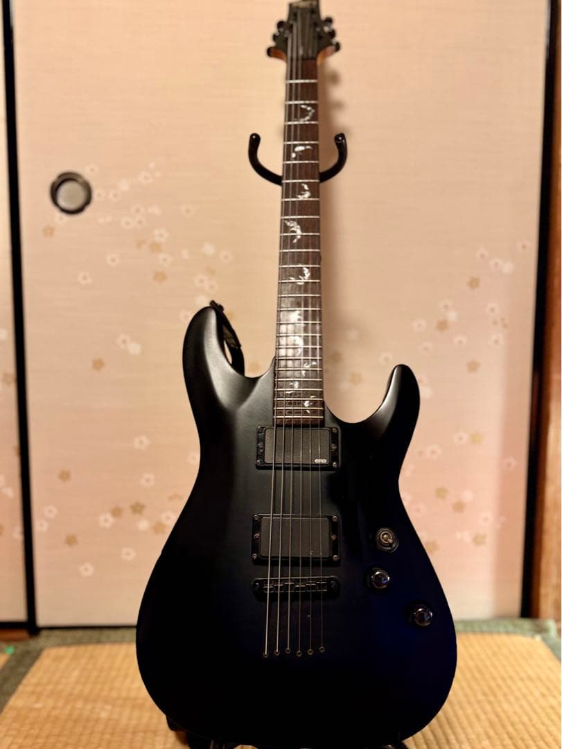 SCHECTER エレキギター