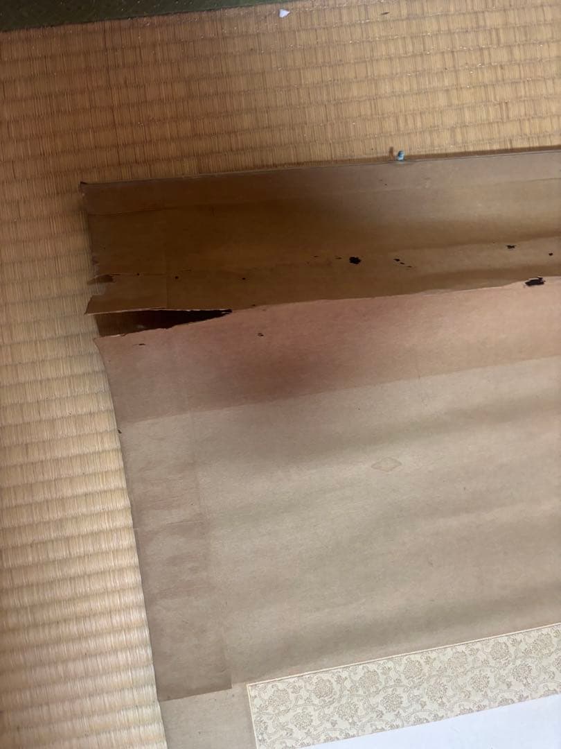 暮春浴泉雑作　掛軸