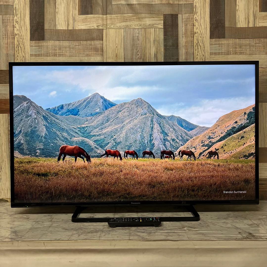 即日受渡❣️全国送料込パナソニックVIERA49V型テレビ地上デジタルBS CS