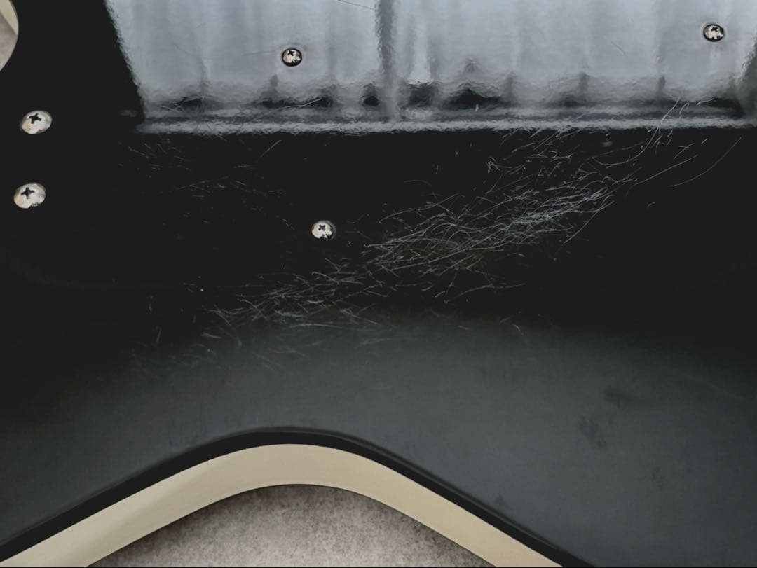 Danelectro ダンエレクトロ ベース 軽量 新品ソフトケース付き