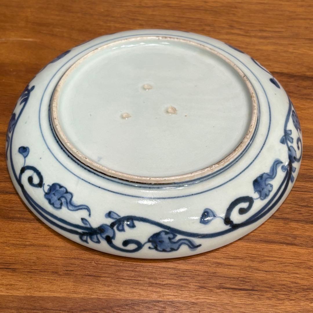 江戸時代 古伊万里染付 唐草菊図金彩皿