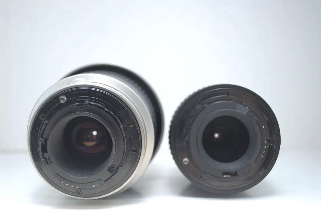 ⭐️即購入で値下げします⭐️ Nikon D50ダブルセット コスパ重視