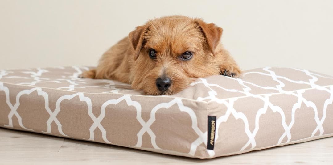 ANBERSO　ロイヤルベッド（トリプルクッション）＆まくら　XS