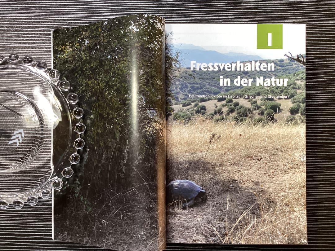 Thorsten Geier の亀本 BAND1,2,3 3冊 カラー写真 独語