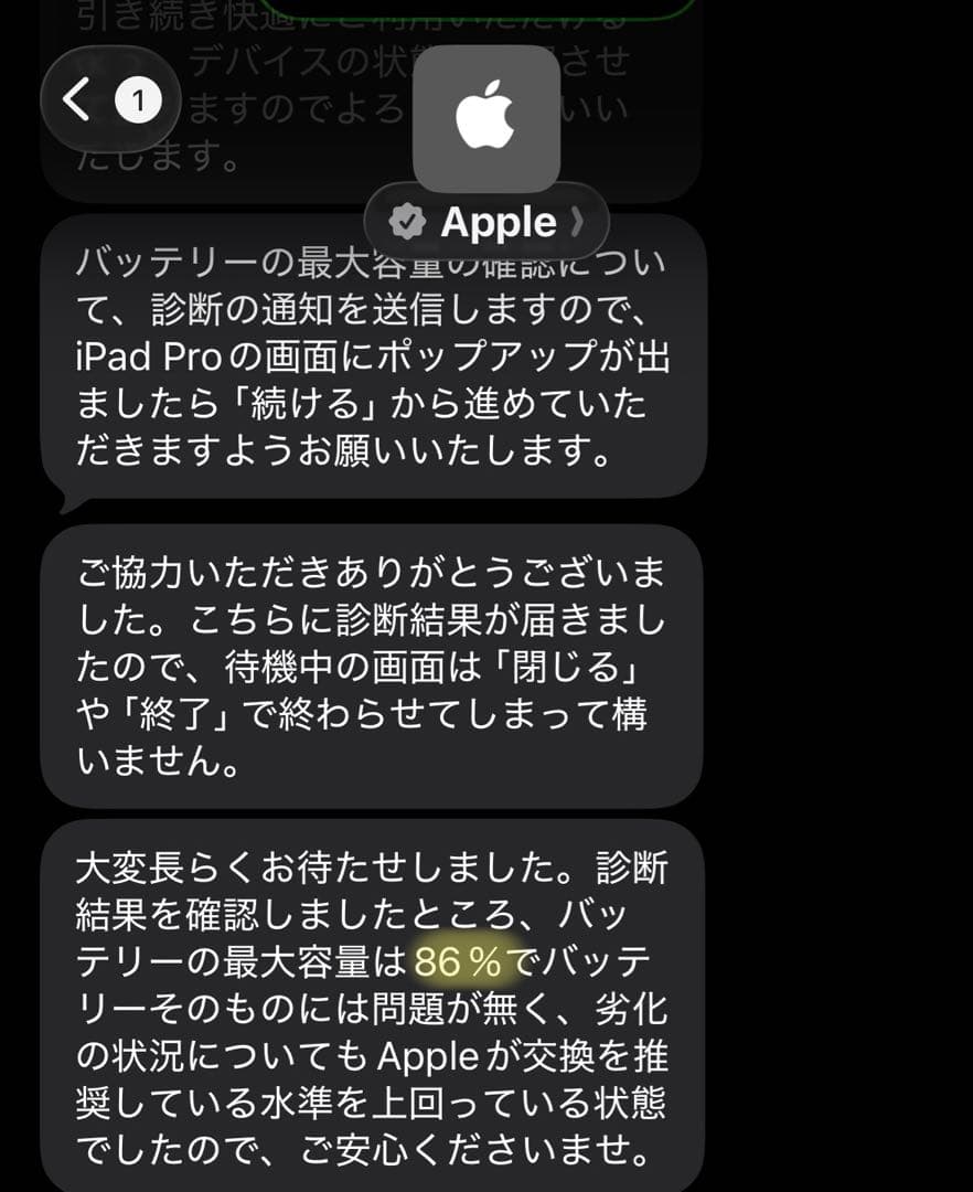 Apple iPad Pro 11インチ 第3世代 256GB SIMフリー