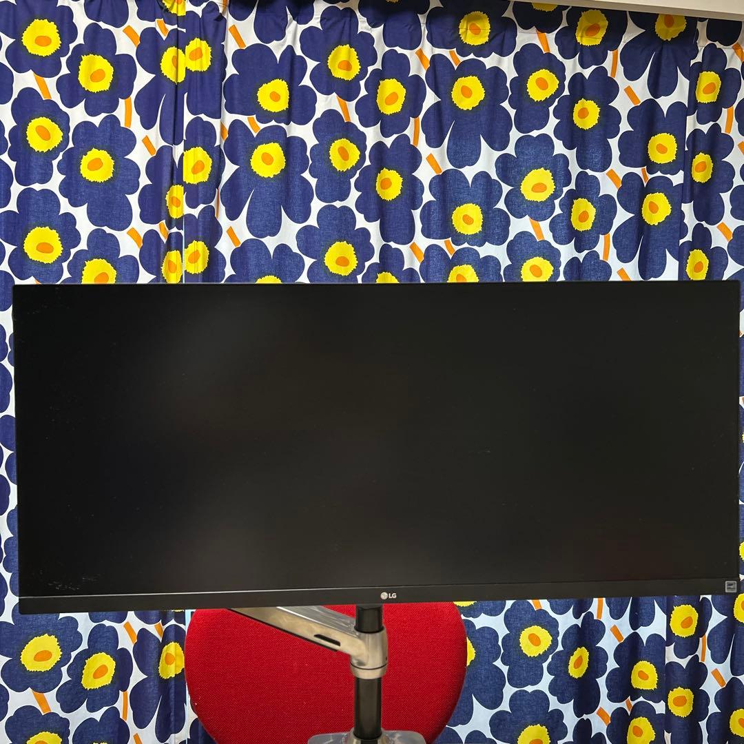 LG34WP500&ERGOTRON LXモニターアーム&送料込