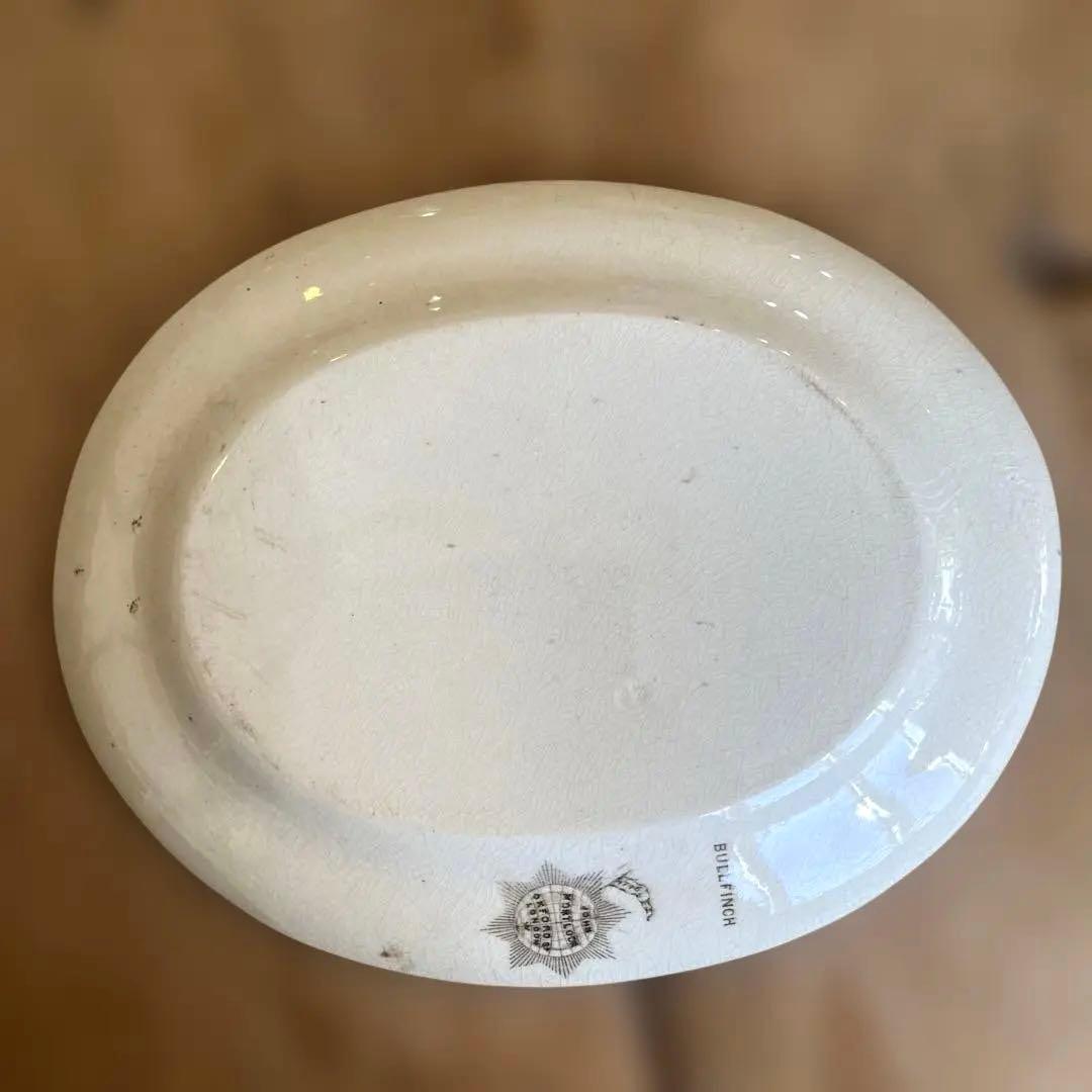 アンティーク　ジョン・モードロック・ロビン・プレート1800年代後半コレクター