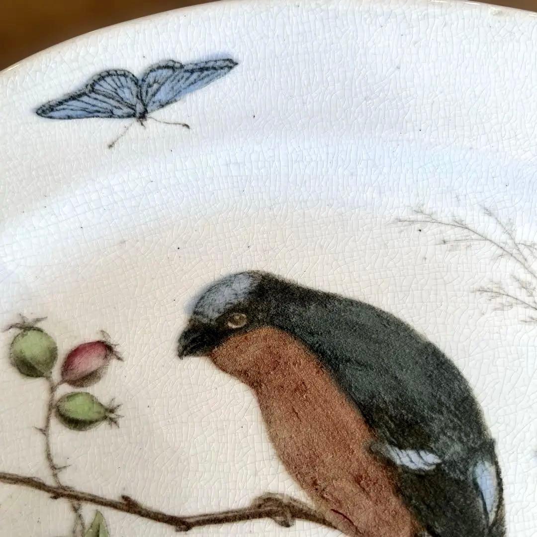 アンティーク　ジョン・モードロック・ロビン・プレート1800年代後半コレクター