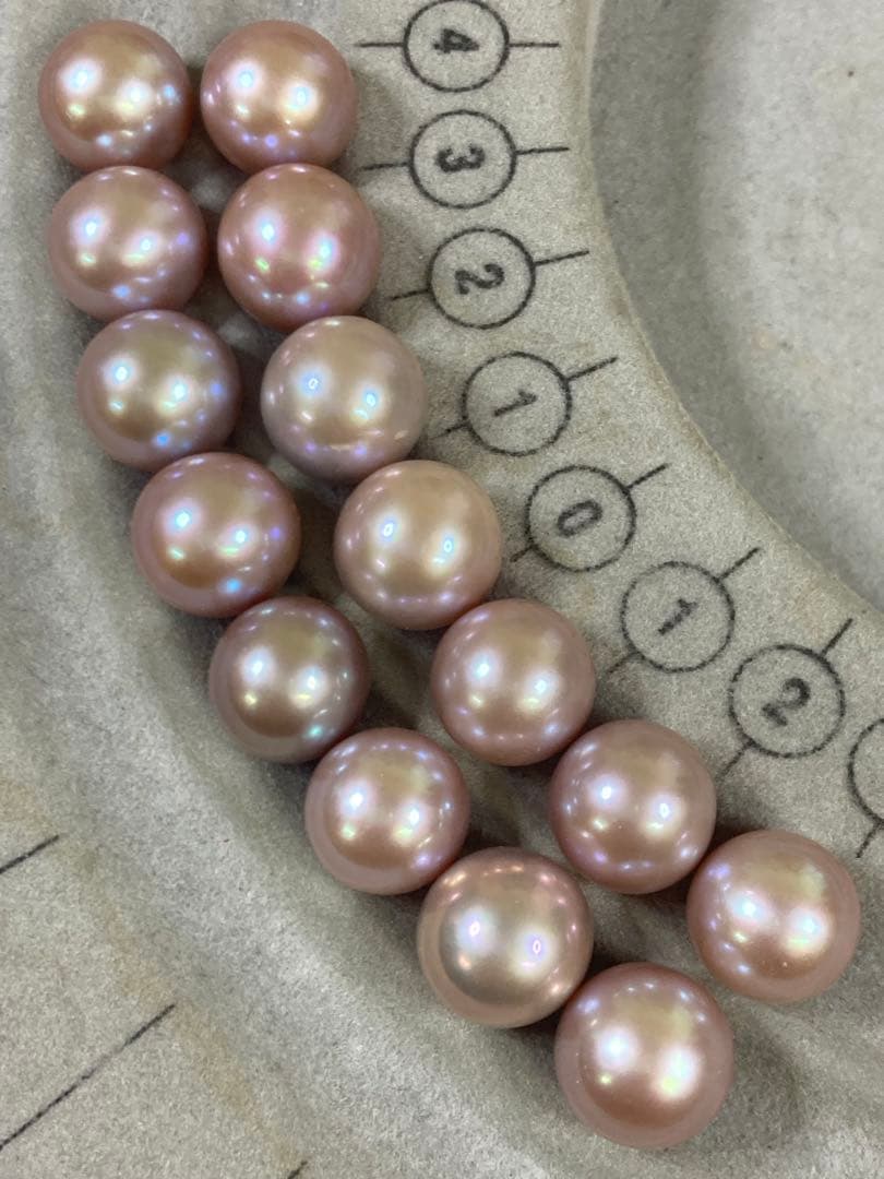 専用　KYOUKOさま