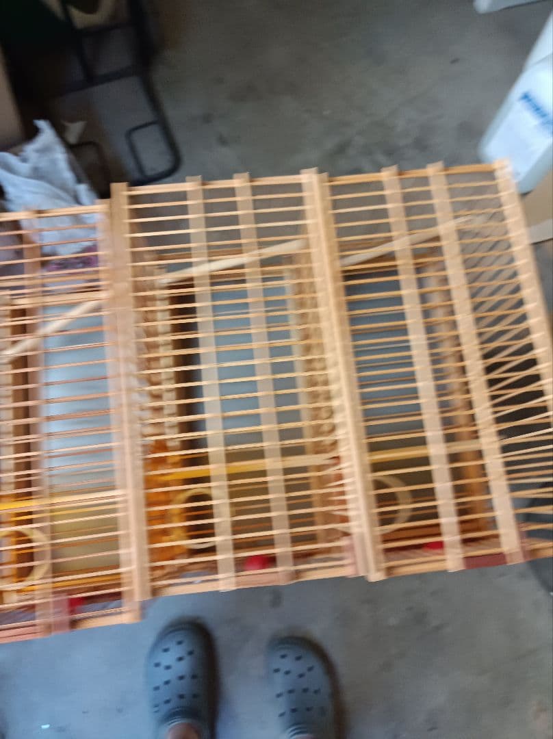 メジロ籠、メジロカゴ、メジロかご