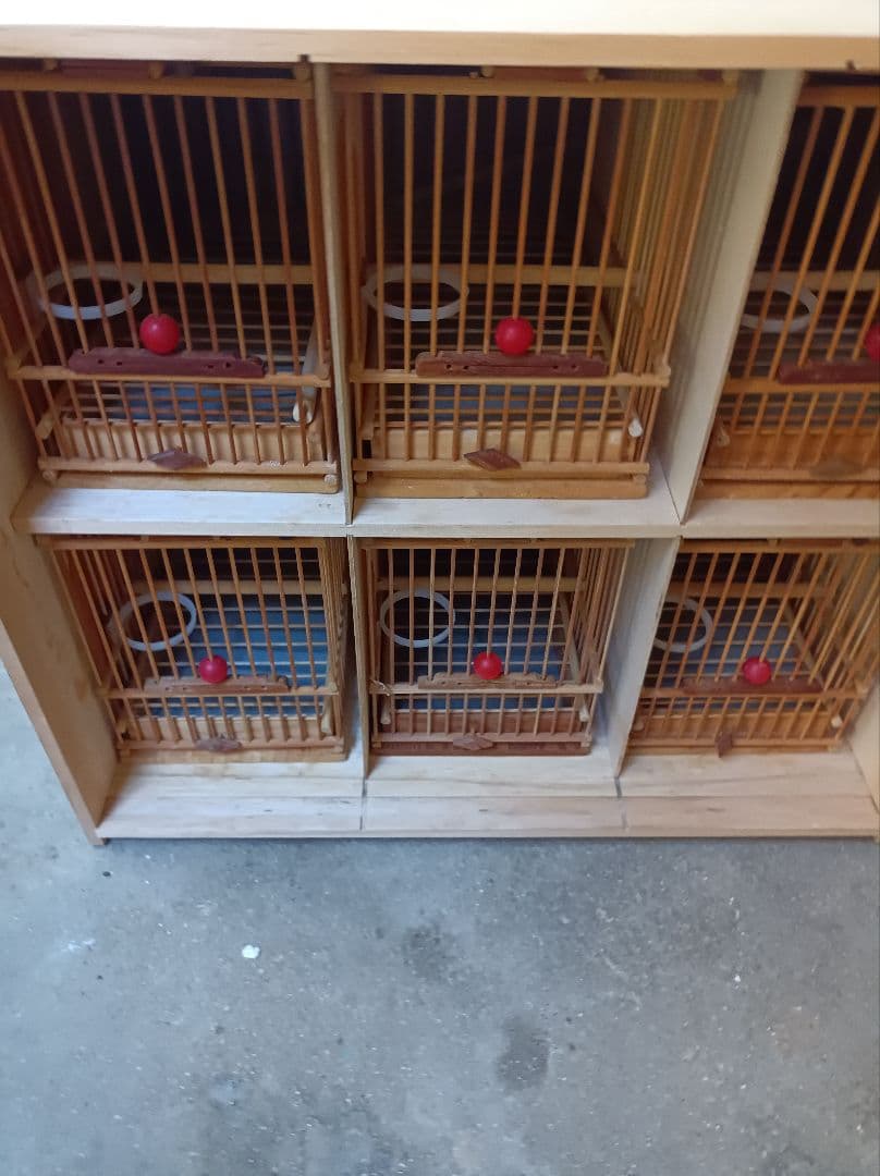 メジロ籠、メジロカゴ、メジロかご