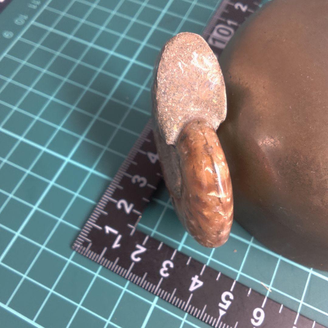小物１ アンモナイト化石 光沢あり