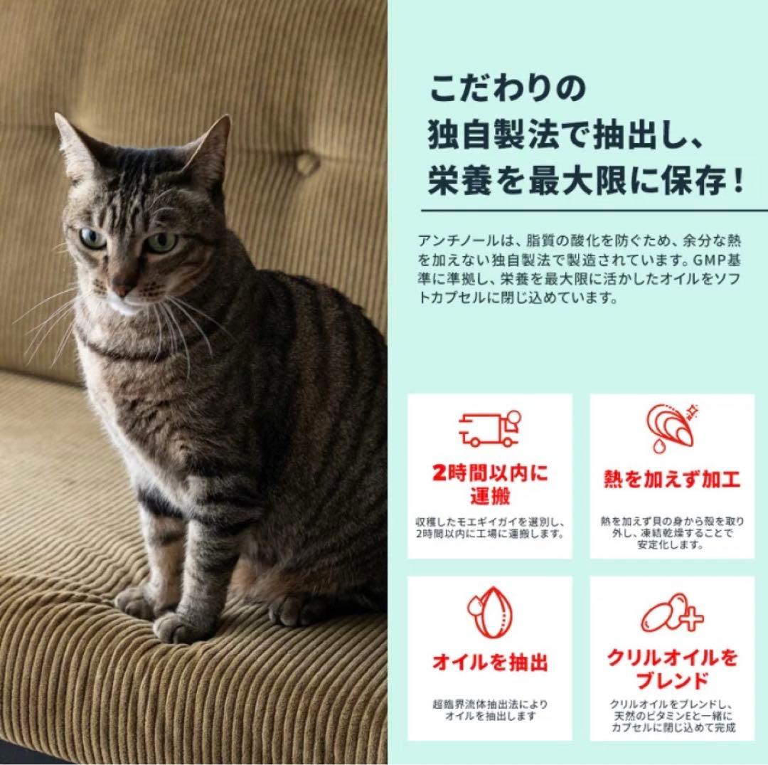 ★新品未開封★VetzPetzアンチノールプラス90粒☆わんちゃんもOK!