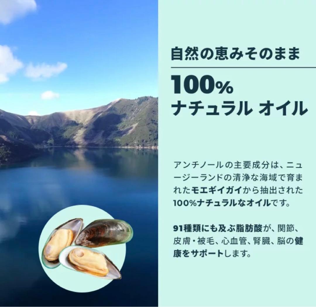 ★新品未開封★VetzPetzアンチノールプラス90粒☆わんちゃんもOK!